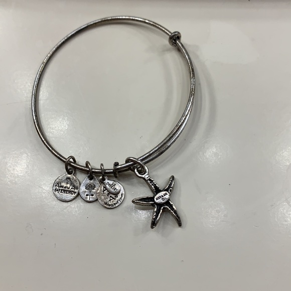 Alex and Ani silver bracelet with charm! - Picture 2 of 2